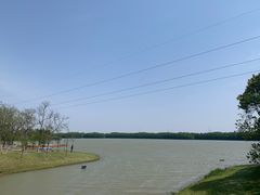 -上海海湾国家森林公园