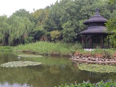 -天目湖山水园