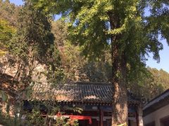 -锦屏山旅游度假区