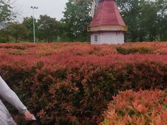 -东莞植物园