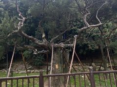 -草庵摩尼教遗址公园