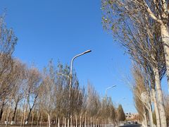 -哈尔滨大剧院