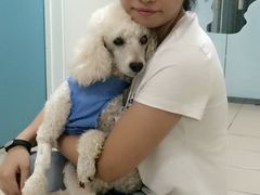 -美联众合动物医院·24h京西诊疗中心