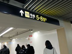 -杨高南路(地铁站)