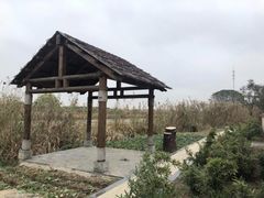 -同里国家湿地公园