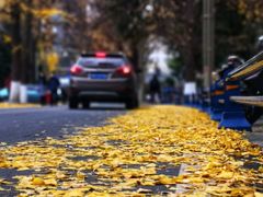 -四川大学(华西校区)