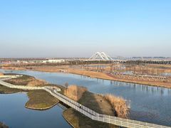 -春花秋色城市公园