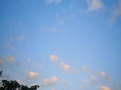 -玛喜达韩国料理·炸串·小吃(苏宁易购店)