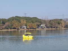 -昆山城市生态森林公园