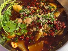 -川囧肥肠鸡·美蛙鱼锅(平高广场店)