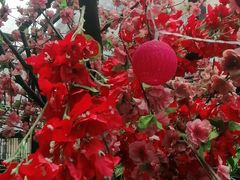 -湘邻呷铺·田园家宴(汉基广场店)