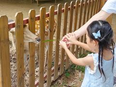 -王借岗森林公园