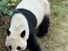 -柳州市动物园