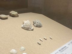 -烟台市博物馆