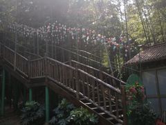 -陶祖圣境风景区