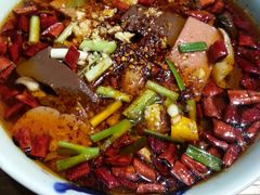 -YAFEE雅菲·粤菜·湘菜·融合菜(魏公村店)