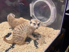 -太平洋海底世界