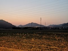 -李东农庄(中南百草园地标店)