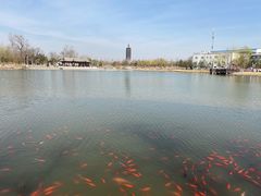 -西海子公园