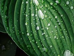 -鸿顺楼(永兴路店)