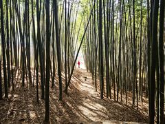 -秦岭风景区