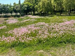 -嘉北郊野公园
