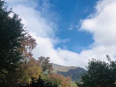 -塔川景区