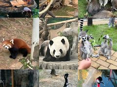 -灵玲国际马戏城