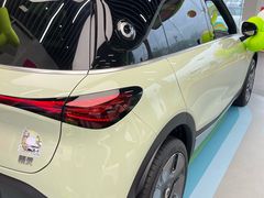 -上海浦东smart汽车全功能店(金桥店)