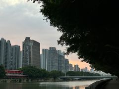 -光明港公园