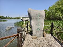 -溱湖国家湿地公园