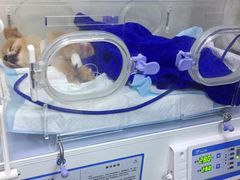 -康成宠物医院24H·CT·核磁共振
