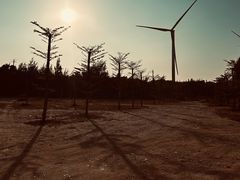-汕尾风车岛