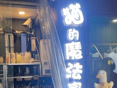 -猫的魔法密林(衣裳街店)