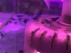 -三旗百汇商品城