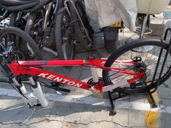 -道路口单车爱瓦士dahon大行