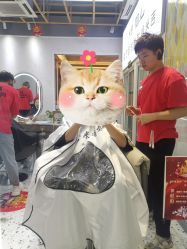 -吉米护肤造型