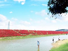 -迪茵湖田家舍生态农场