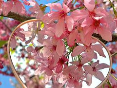 -二沙岛艺术公园