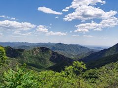 -大岭沟猕猴桃谷风景区