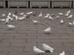 -雨花台烈士纪念馆