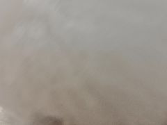 -瑞鹏宠物医院·眼科·皮肤·中兽医(大悦城分院)