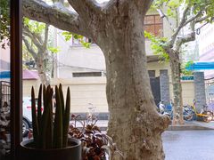 景观位-Apollo·西班牙小酒馆(安福路店)