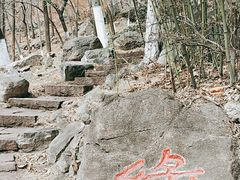 -石老人观光园