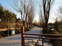 -北坞公园