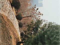 -清凉山国家森林公园