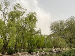 -太阳宫公园