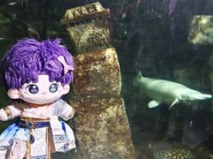 -太奥幻太奇海洋馆