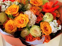 -植物学家的女儿(北马道巷店)