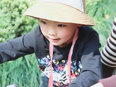 -杭州城北体育公园